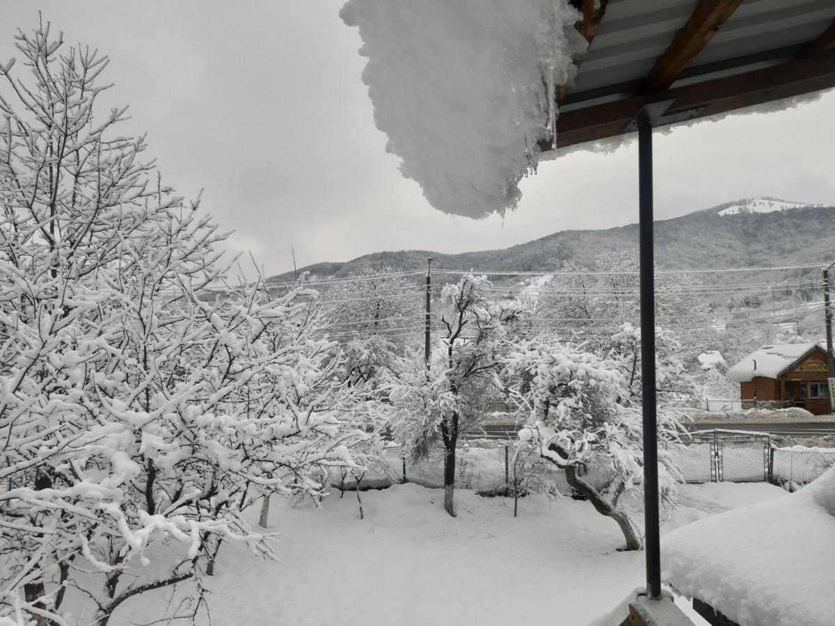 Barlig Apartment Yaremche Exterior photo