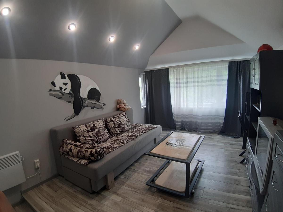 Barlig Apartment Yaremche Exterior photo
